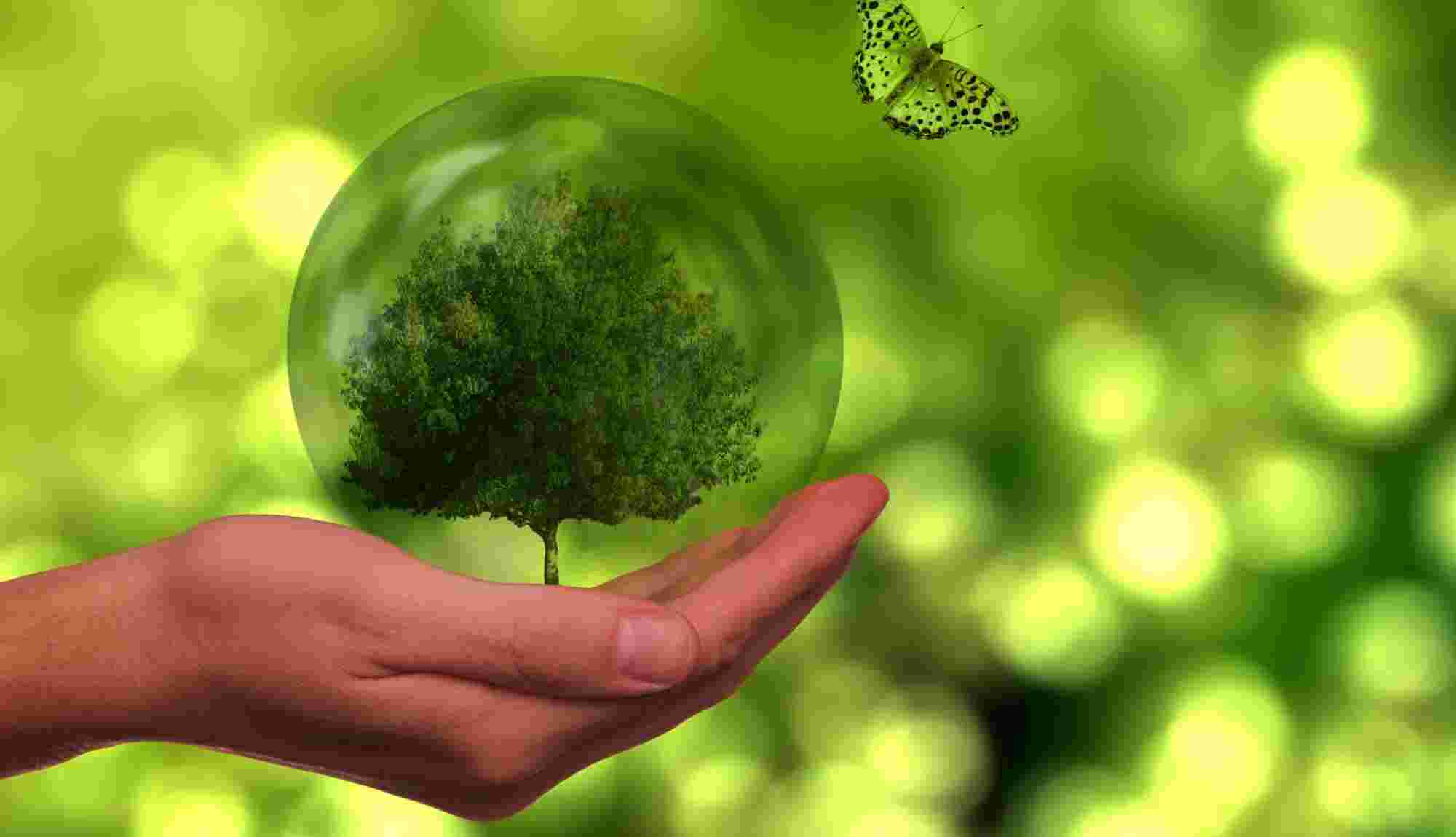 journée mondiale de l'environnement