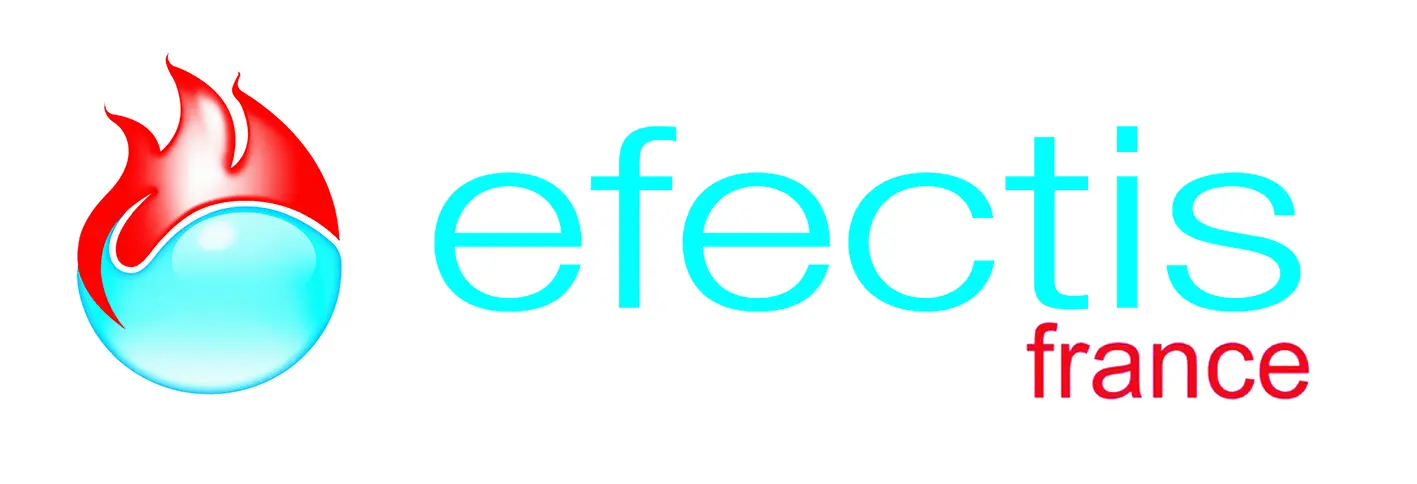 Logo Efectis France