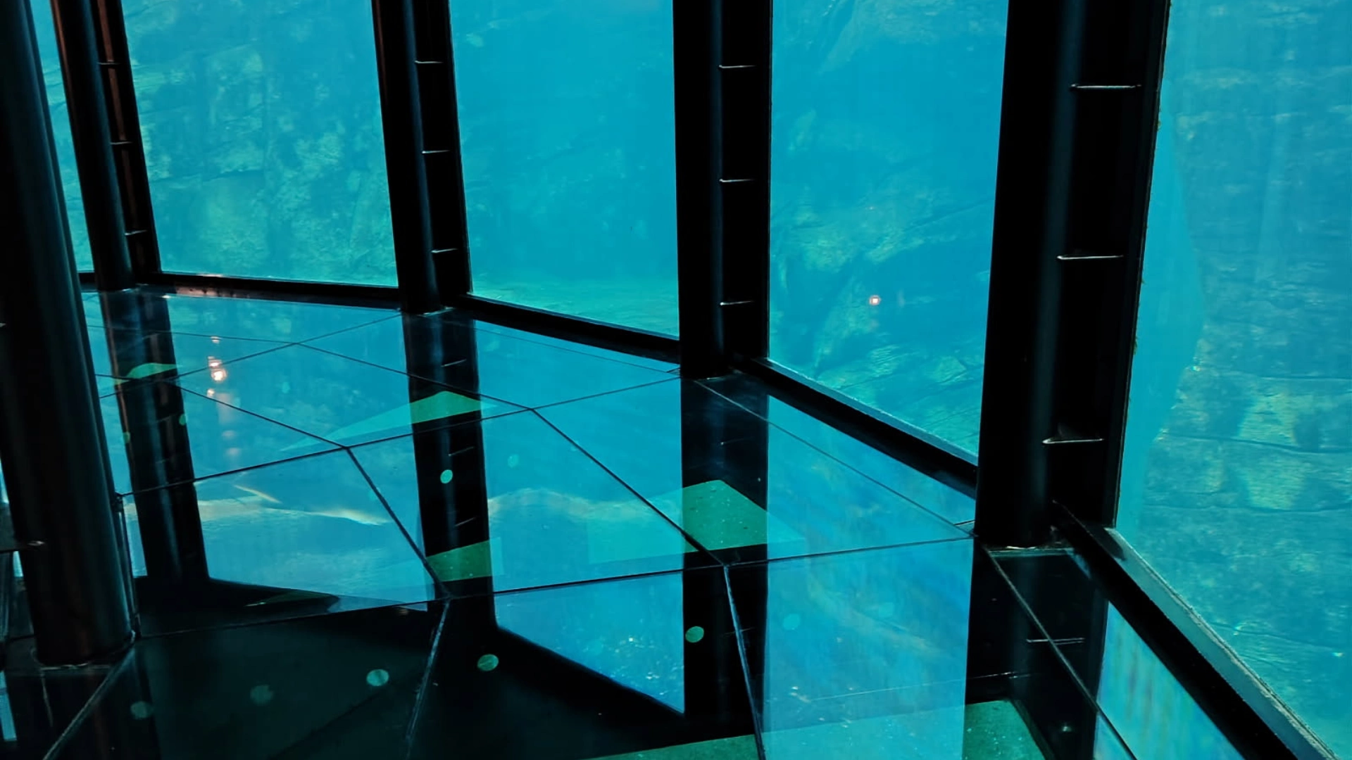 Plancher en verre du tunnel de Nausicaá, Le Kap Verre Littoral