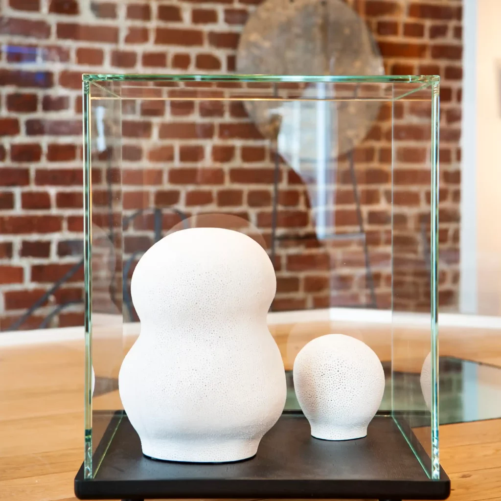 Cloche en verre et vitrine d'exposition