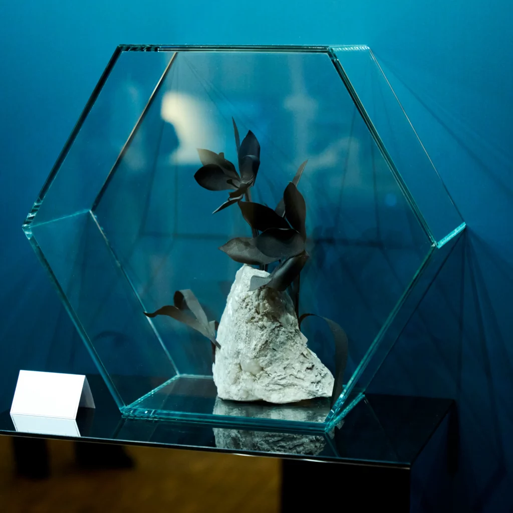 Vitrine en verre extra-clair pour objet exposé